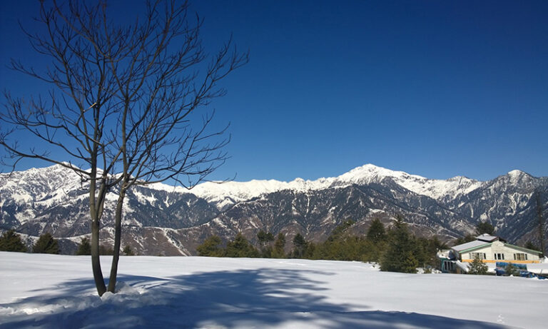 Shogran